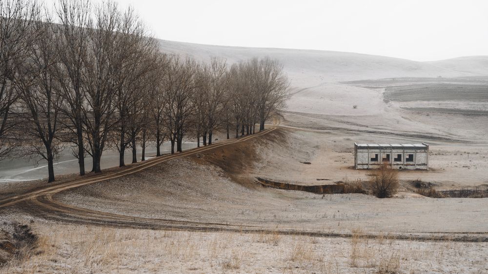 Фотография автора Oleg Suhenko