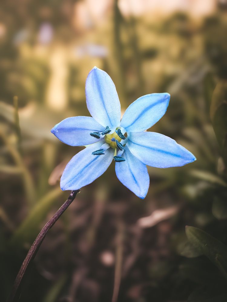 Photograph by Алексей Иванов