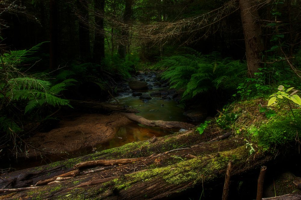 Photograph by Александр Чазов