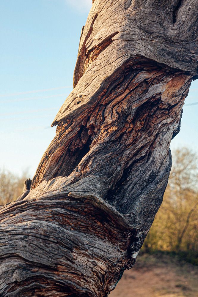 Фотография автора Ярослав Качура