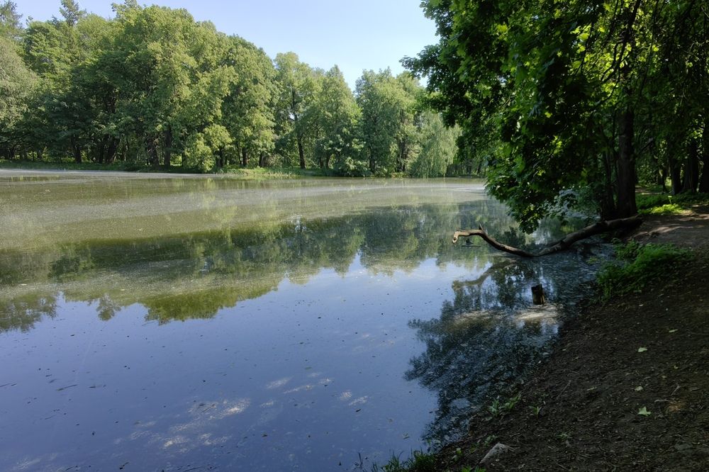 Photograph by Елена Алексеева