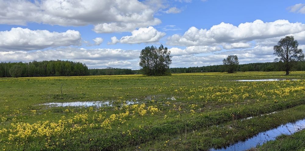 Photograph by Елена Алексеева