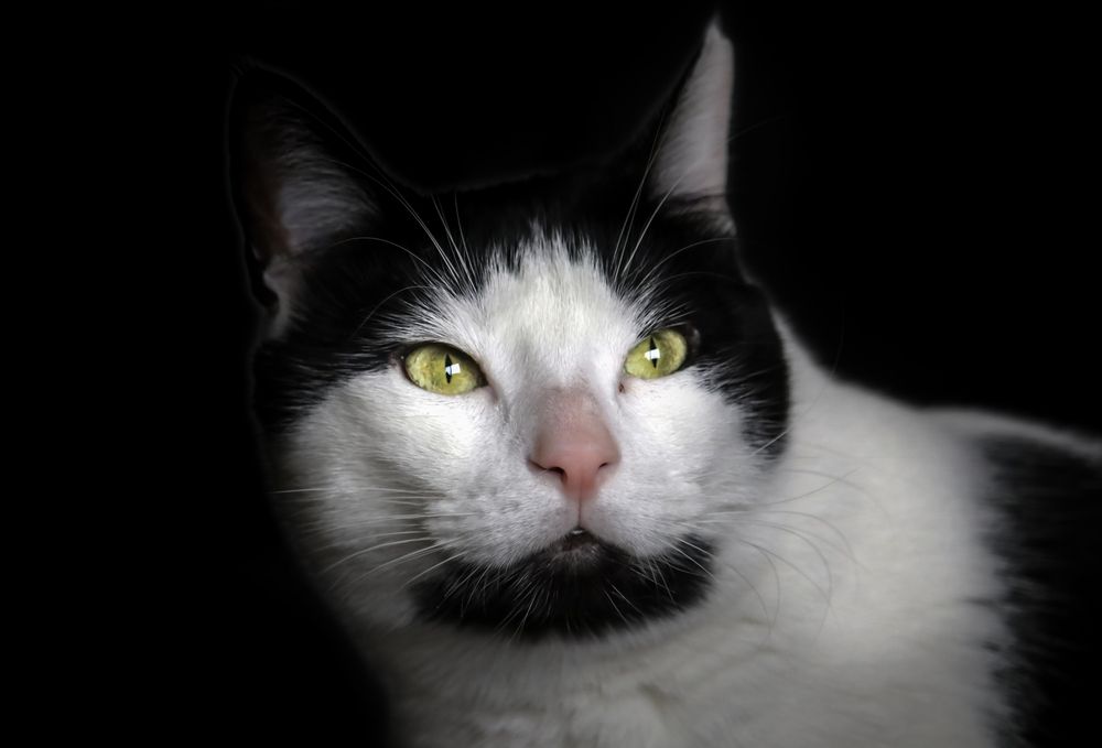 Photograph by babuscu ayhan