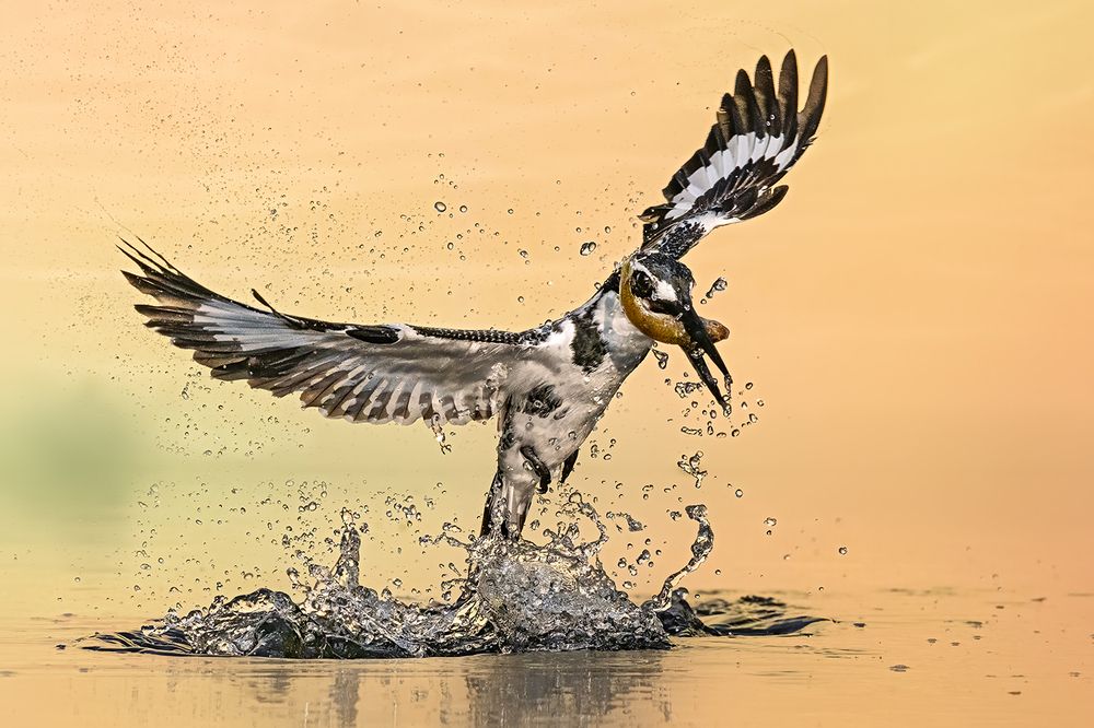 Photograph by Sandeep Dutta