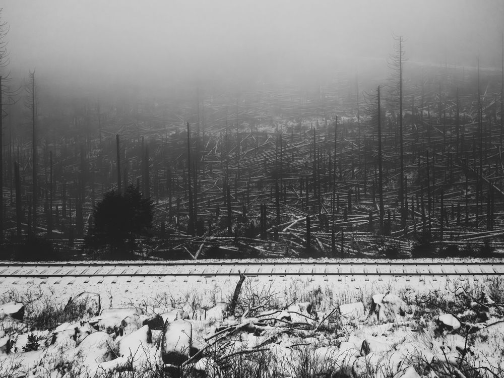 Photograph by Михаил Козлов