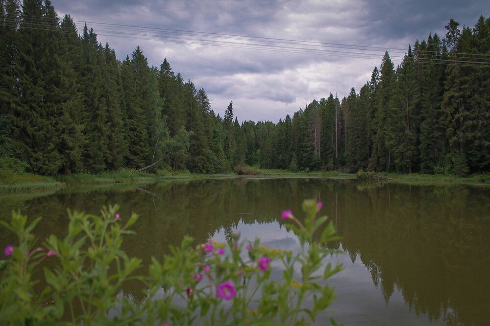 Photograph by Любовь Иванова