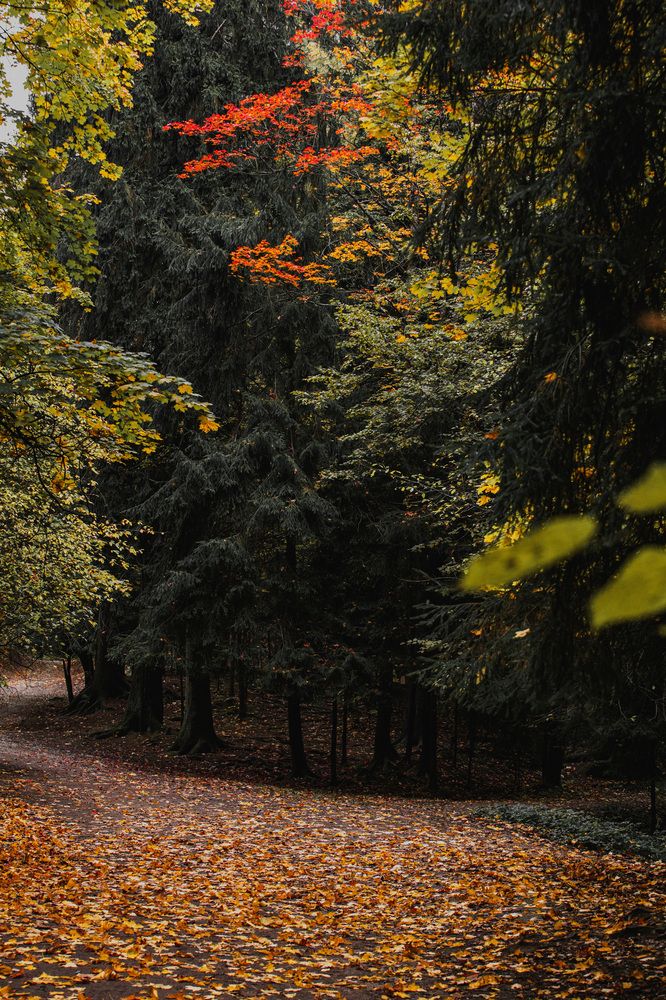 Фотография автора Андрей Чипан