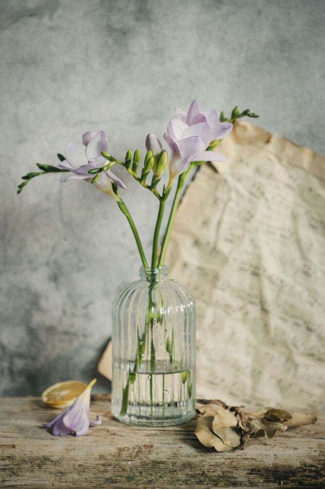 Photograph by Анастасия Тимарг