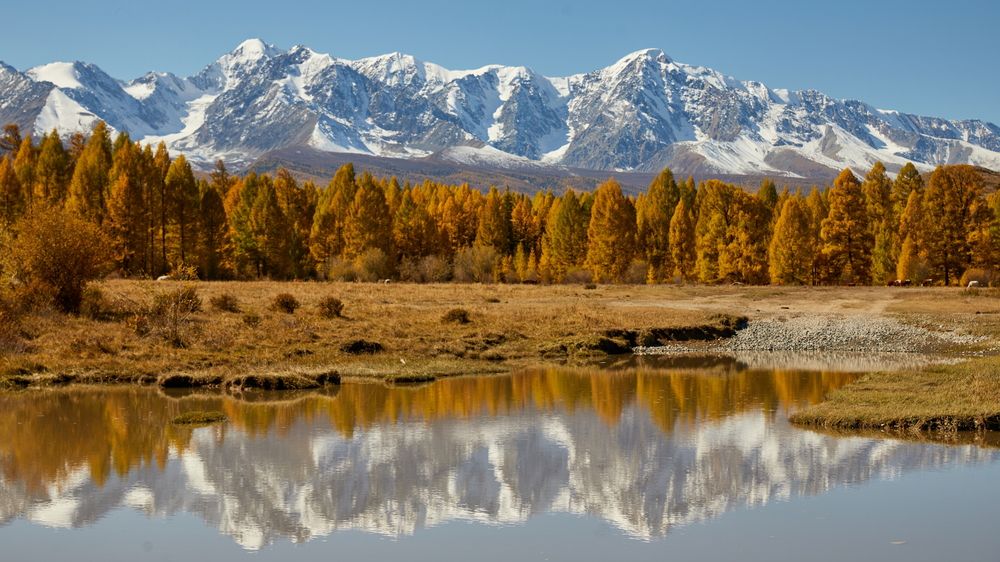 Photograph by Boris Konovalov