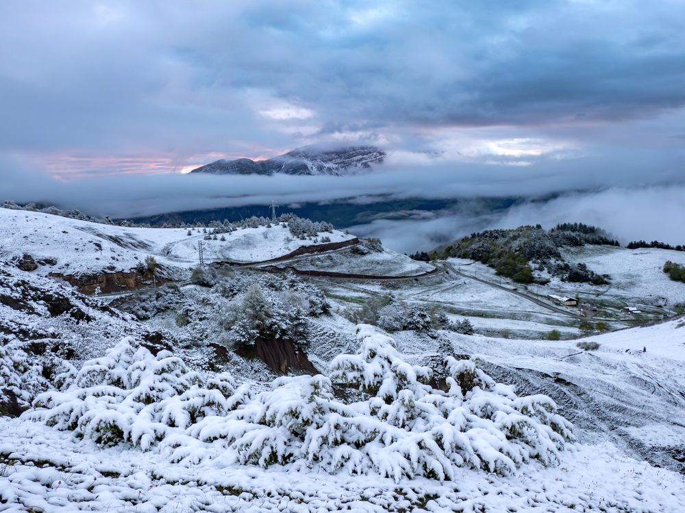 Photograph by Галина Михоношина