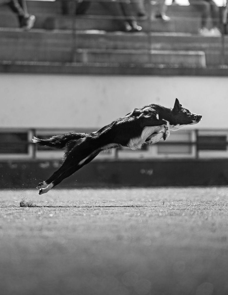 Photograph by Alexandre Marques