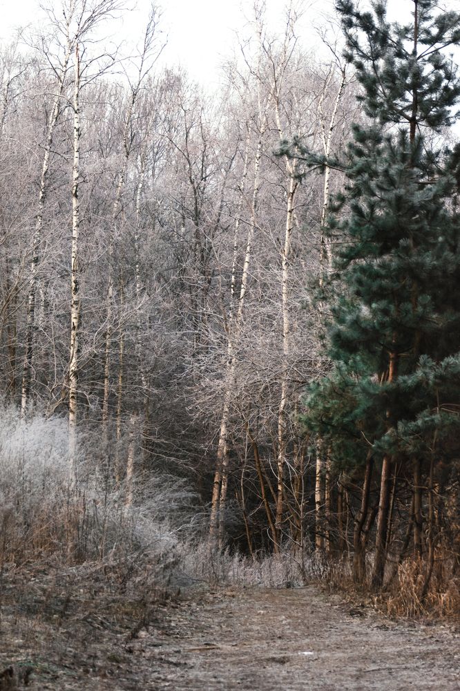 Photograph by Даников Анастасия