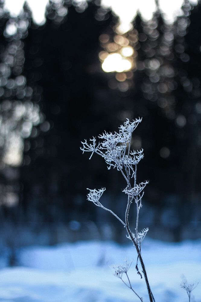 Photograph by Любовь Иванова