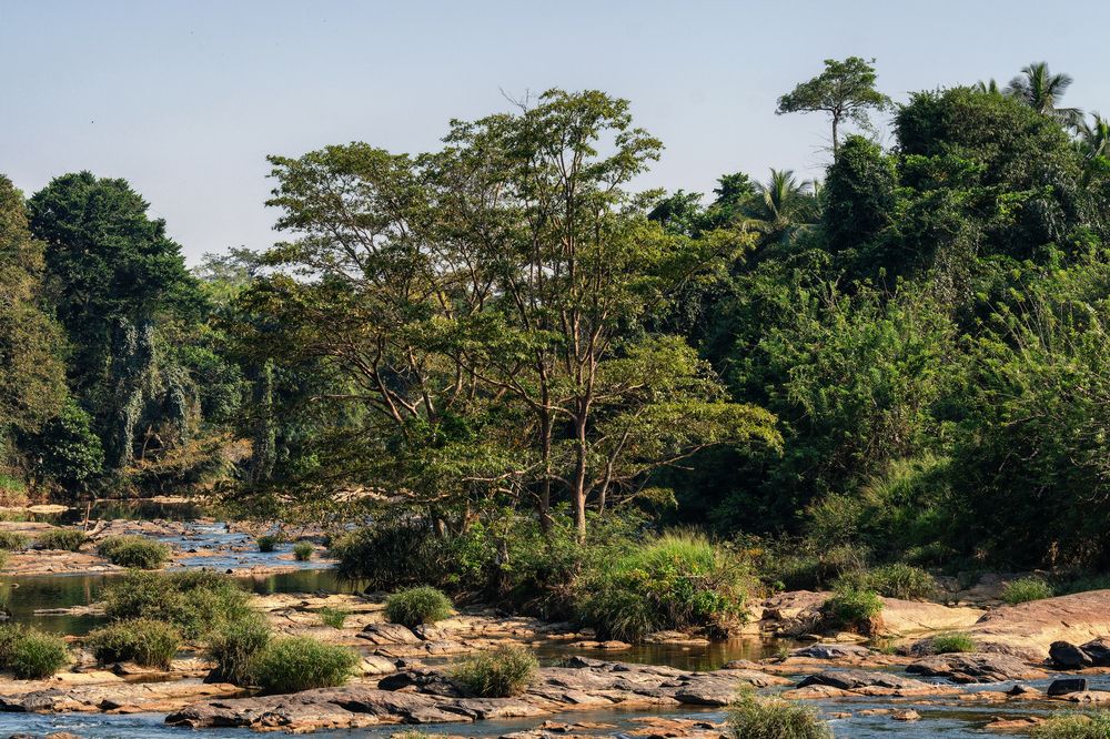 Photograph by Leonid Radashkovsky