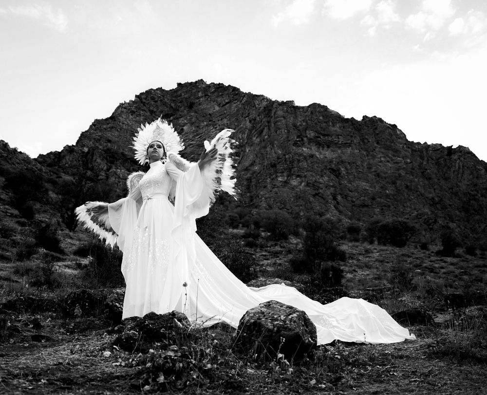 Photograph by behzad rostami