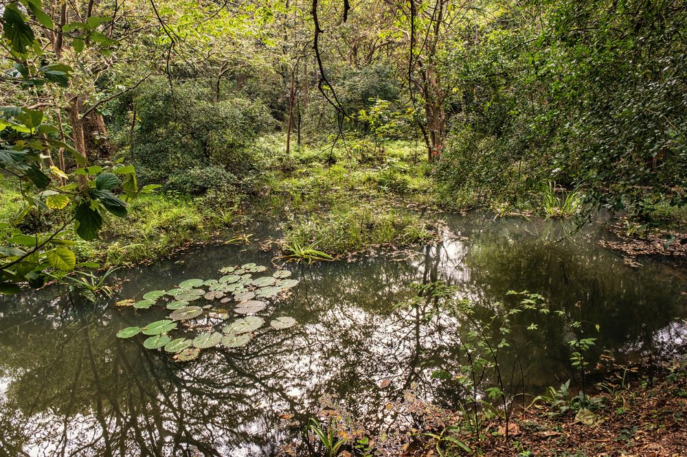 Photograph by Leonid Radashkovsky