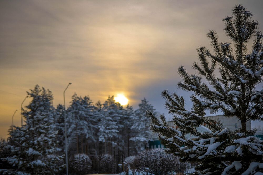Фотография автора Александр Черепанов