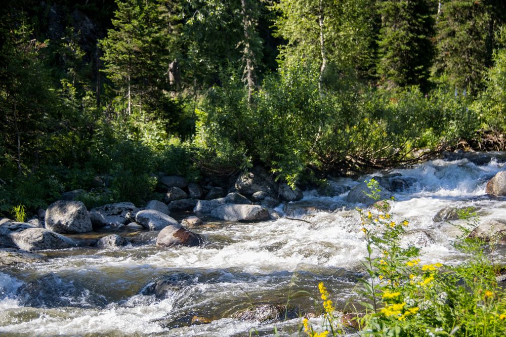 Фотография автора Александр Черепанов