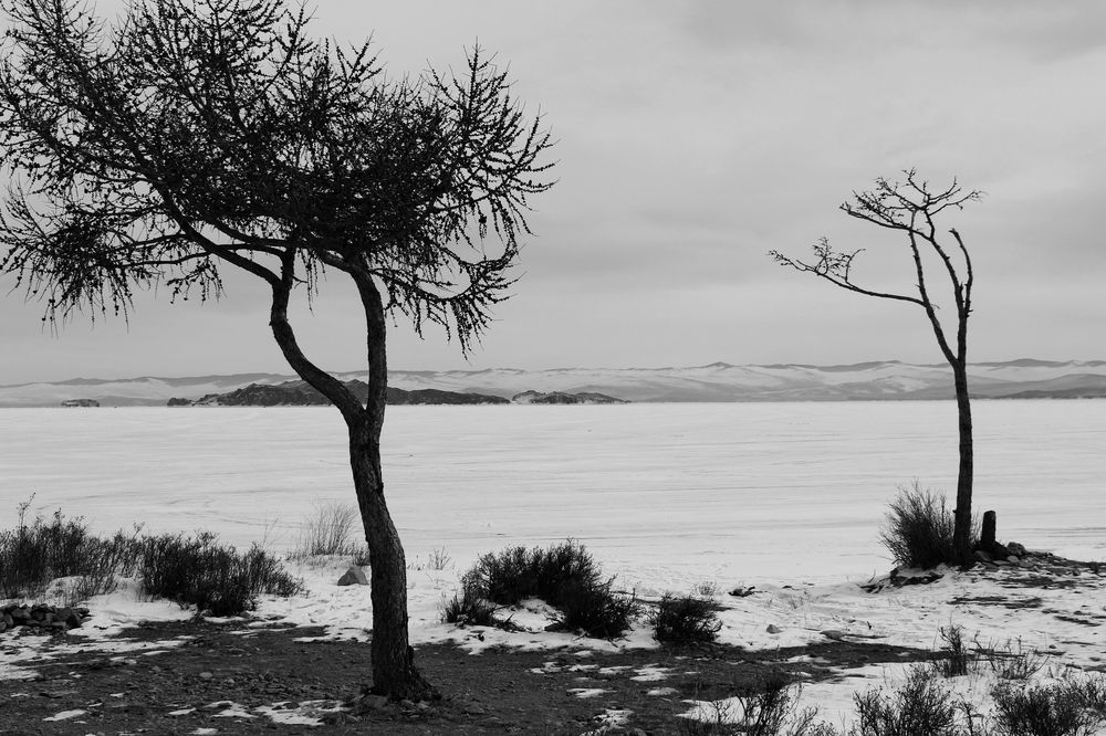 Photograph by Оксана Лоншакова