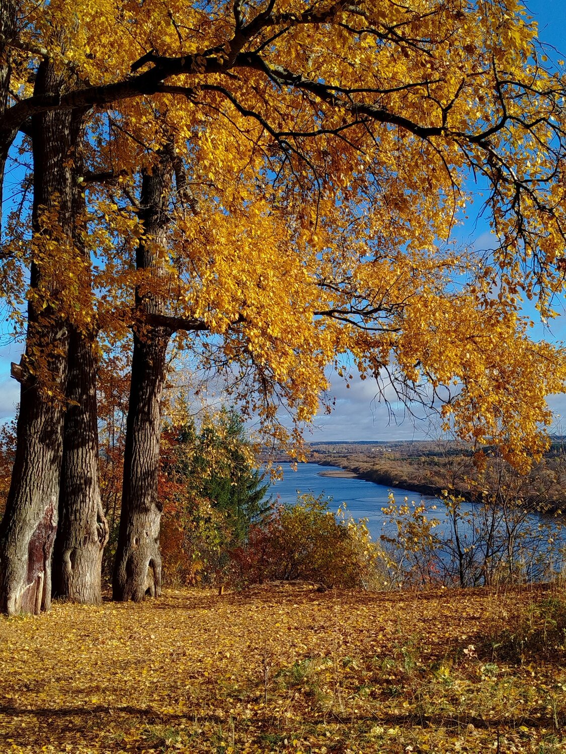 Солнечный берег