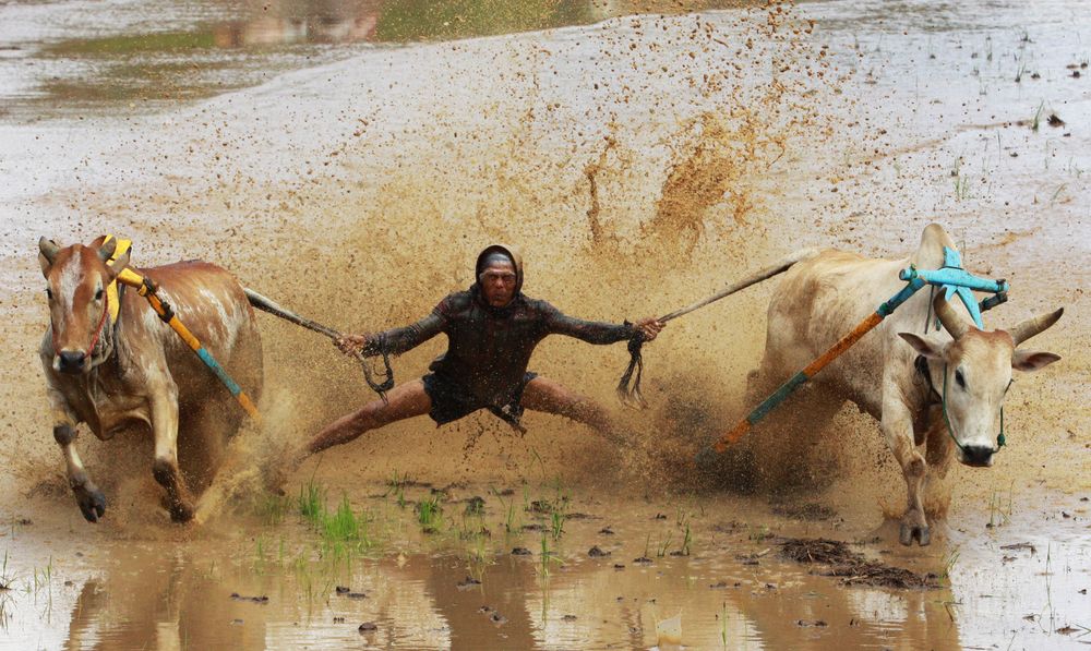 Photograph by Yuli Seperi