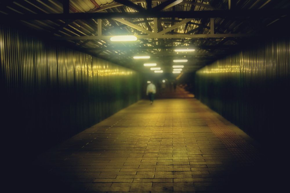 Фотография автора Александр Черепанов