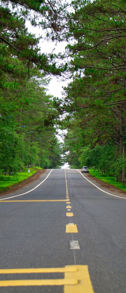 Фотография автора Nam Phạm
