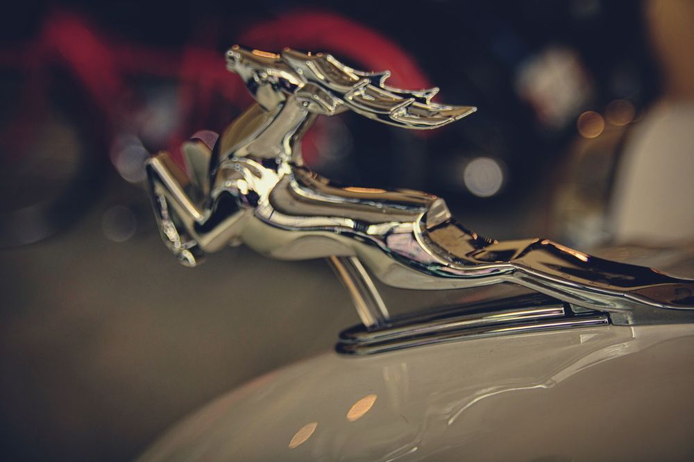 Фотография автора Александр Черепанов