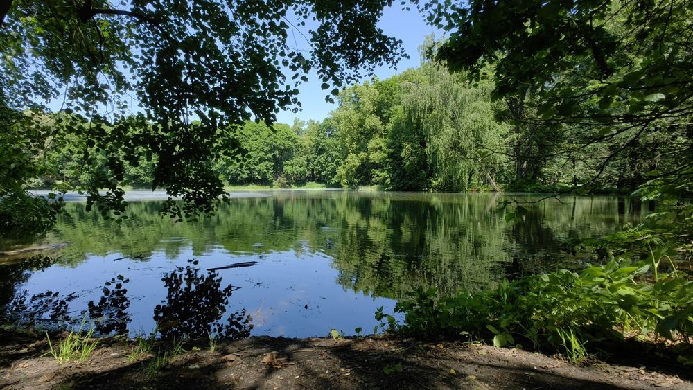 Photograph by Елена Алексеева