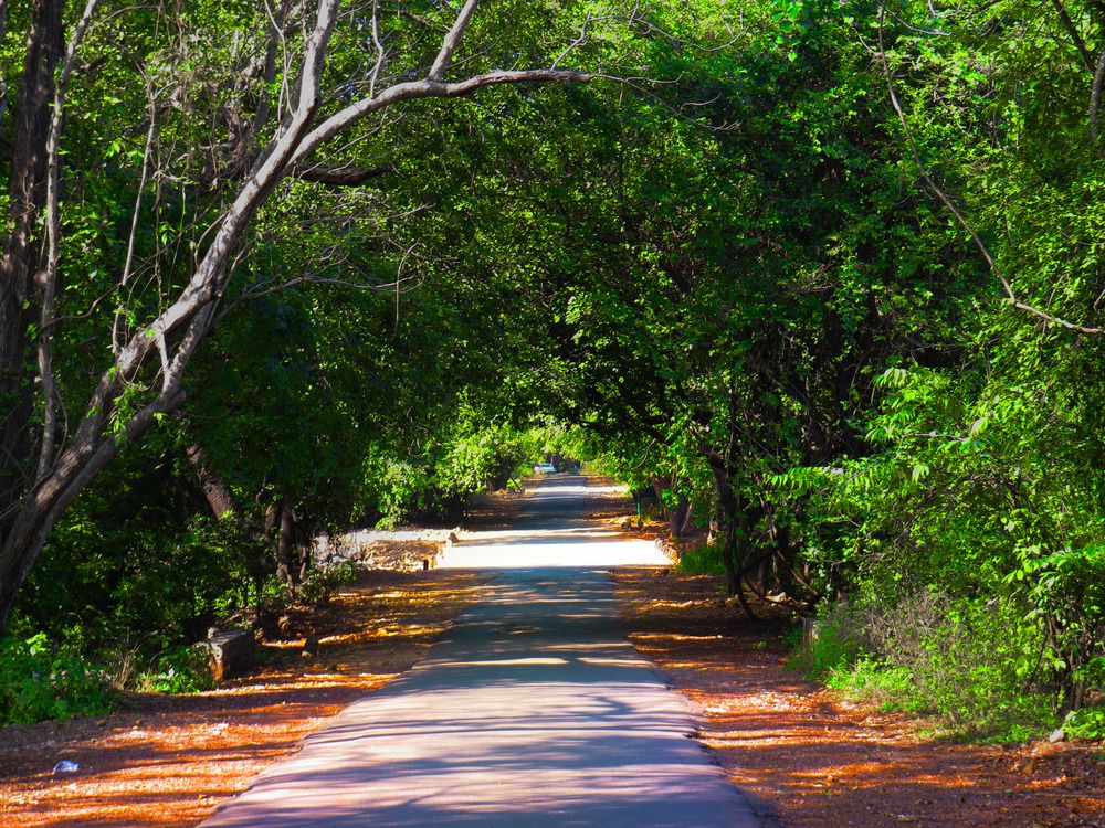 Фотография автора Asika mane