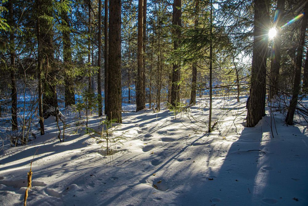 Photograph by Владимир Терехов