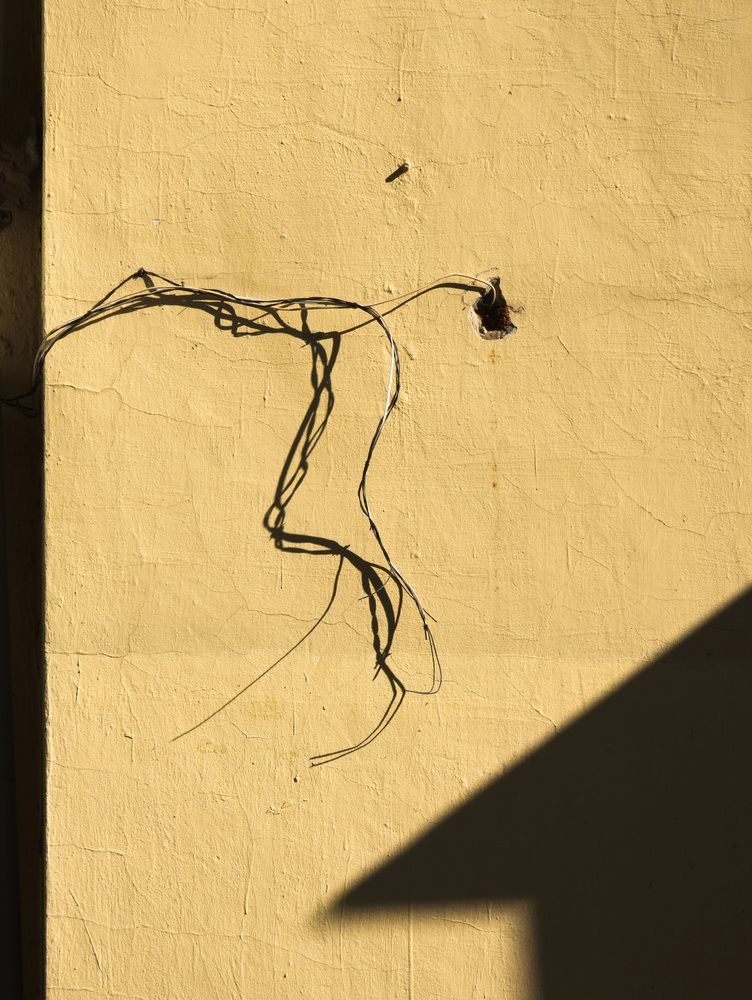 Photograph by Светлана