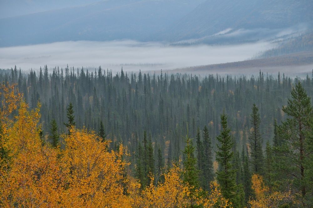 Photograph by Margareth Tikhonova