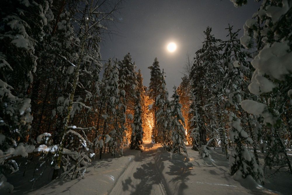 Photograph by Margareth Tikhonova