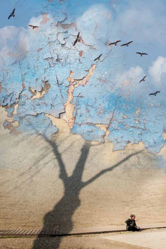 Photograph by Светлана