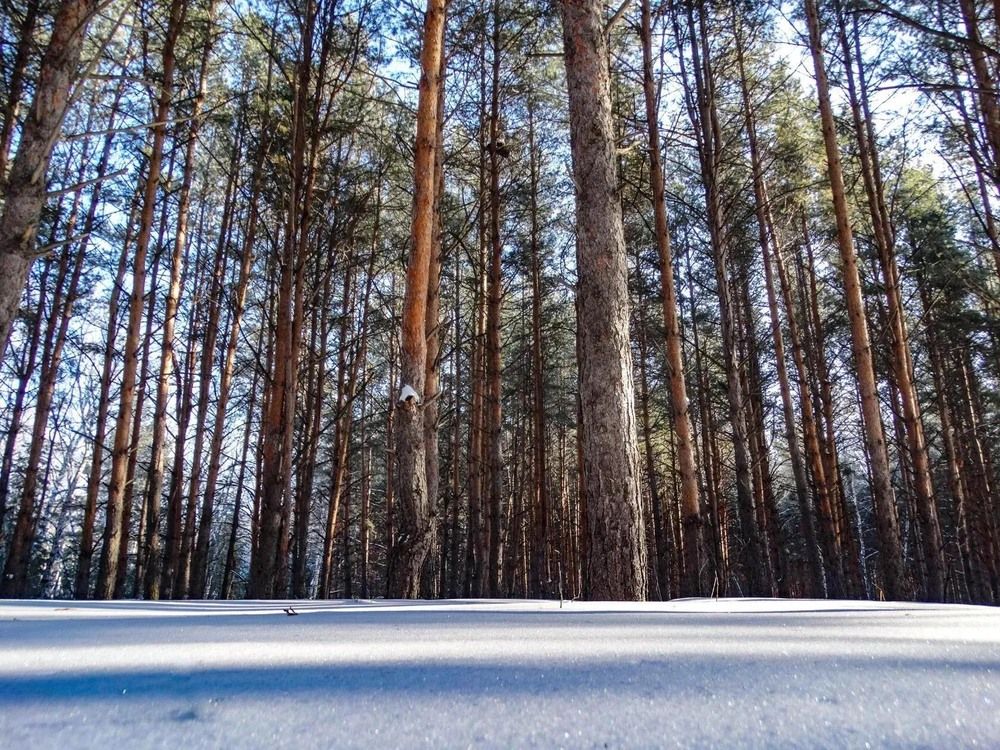 Photograph by Анжелика Трошина