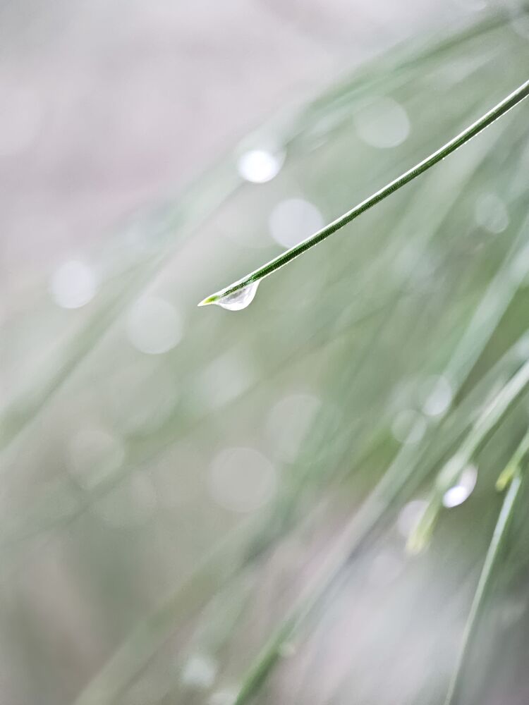 Photograph by Hannah Surji