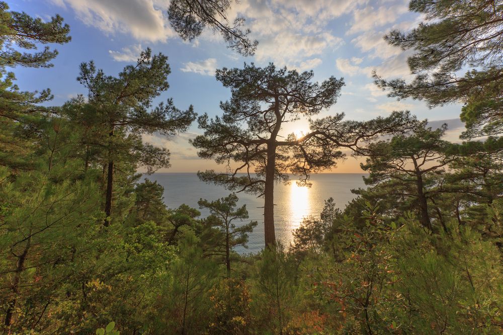 Photograph by Александр Литвинов