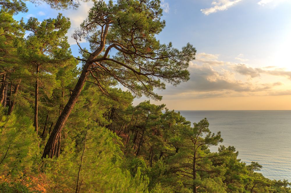 Photograph by Александр Литвинов