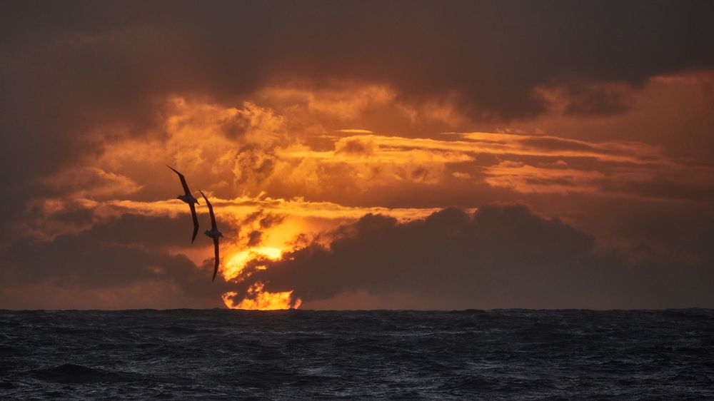 Фотография автора Boris Konovalov