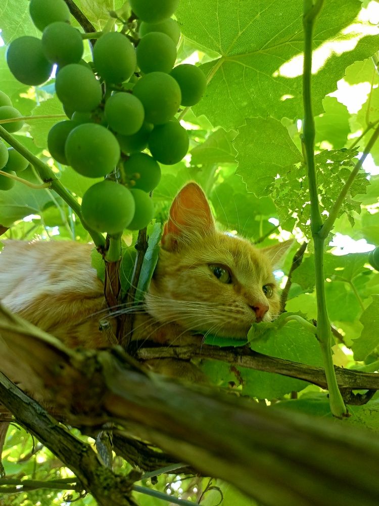 Photograph by Ольга Сай