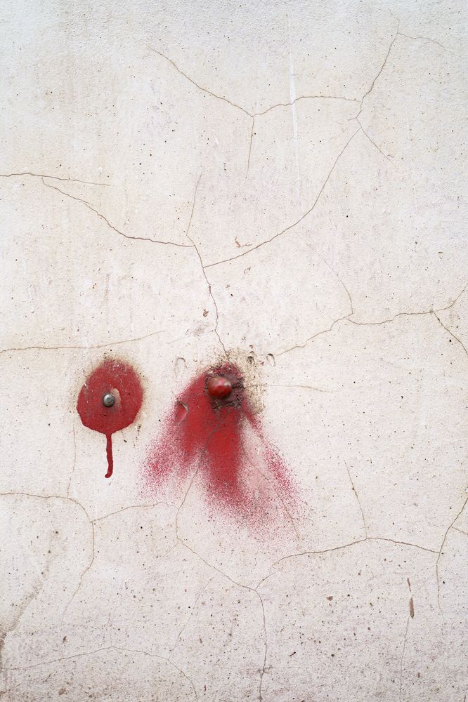 Фотография автора Елена