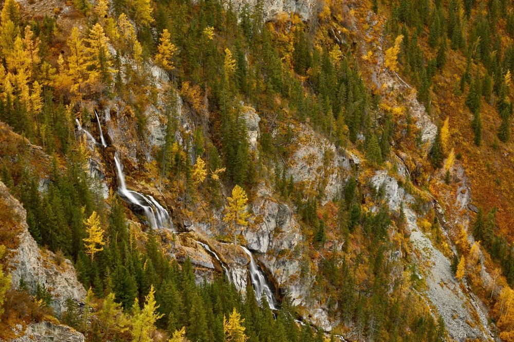 Фотография автора Boris Konovalov