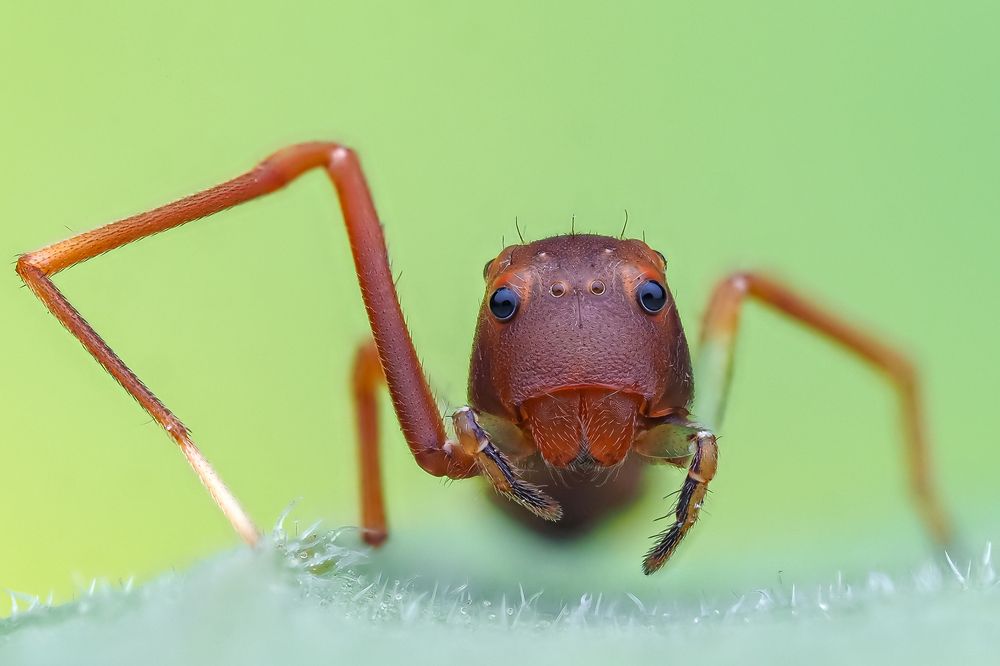 Photograph by Marcus Kam