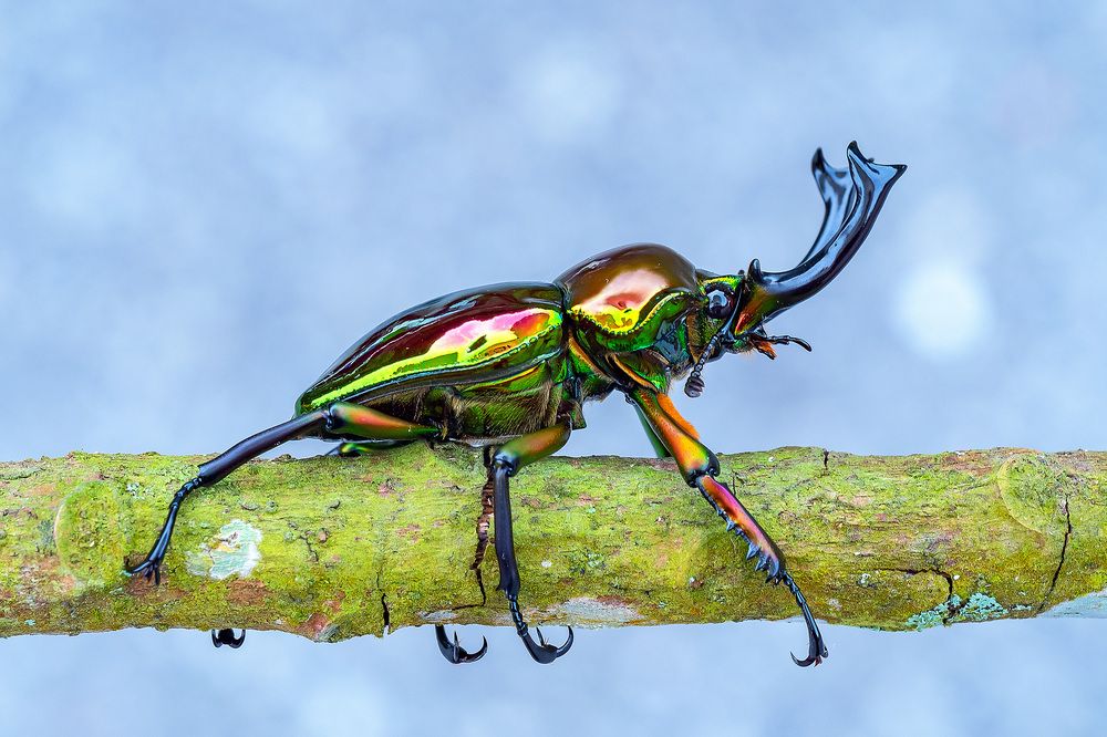 Photograph by Marcus Kam