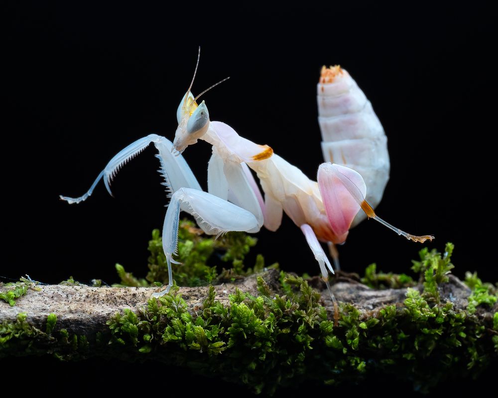 Photograph by Marcus Kam