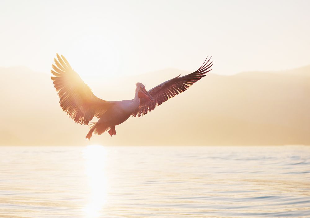 Photograph by Ruzdi Ekenheim