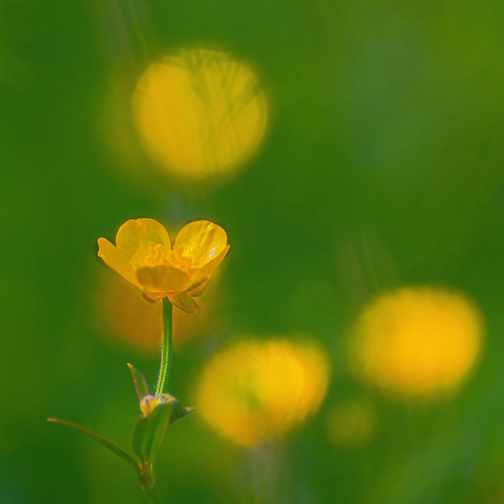 Фотография автора Владимир Чуприков