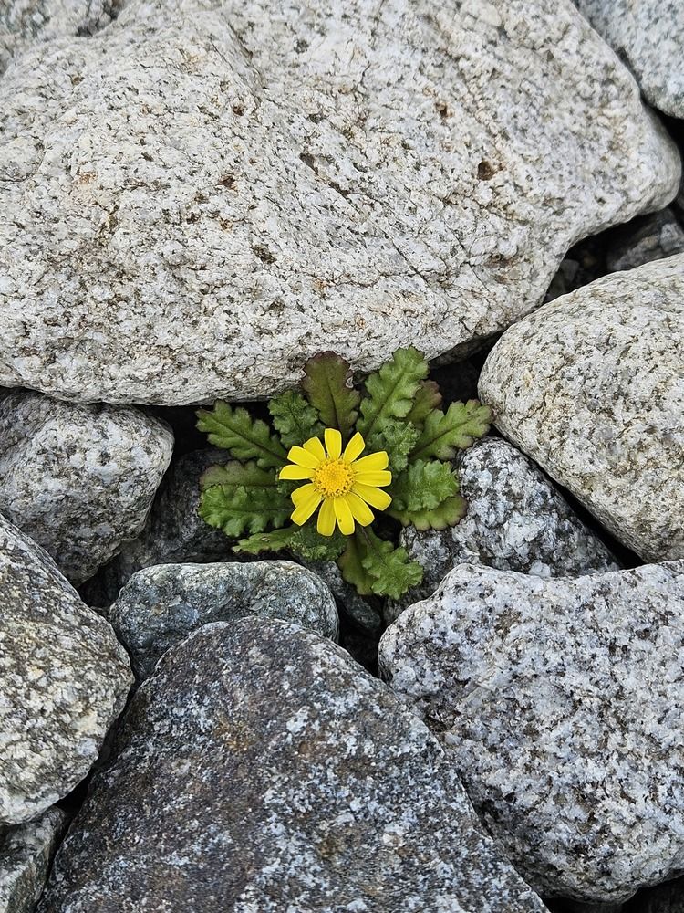 Photograph by Alana Bagati