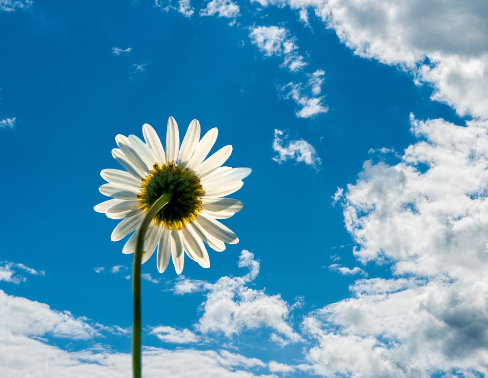 Фотография автора Владимир Чуприков